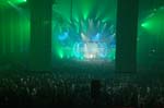Armin_230
