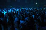 Armin_247
